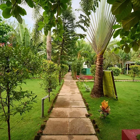 Treebo Lands End Beach Resort - 100M From Morjim Beach-3